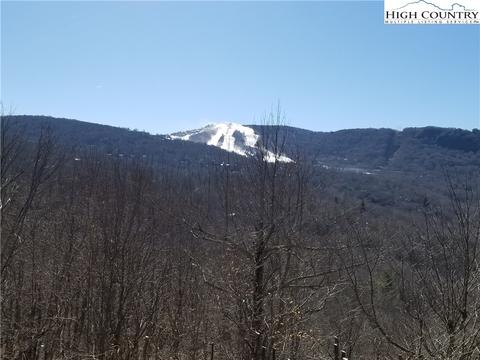 237 Upper Grouse Ridge Rd, Beech Mountain, NC 28604 photo 2