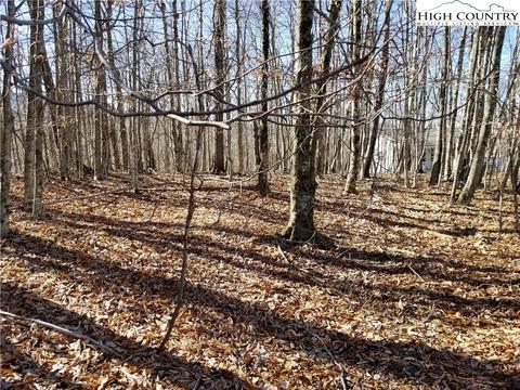 237 Upper Grouse Ridge Rd, Beech Mountain, NC 28604 photo 8