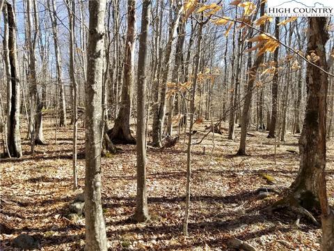 237 Upper Grouse Ridge Rd, Beech Mountain, NC 28604 photo 12