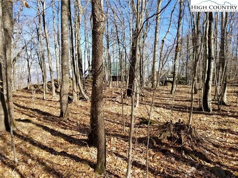 237 Upper Grouse Ridge Rd, Beech Mountain, NC 28604 photo 13