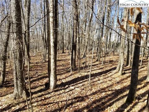 237 Upper Grouse Ridge Rd, Beech Mountain, NC 28604 photo 14
