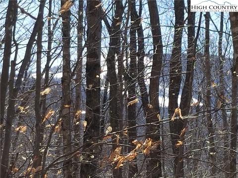 237 Upper Grouse Ridge Rd, Beech Mountain, NC 28604 photo 11