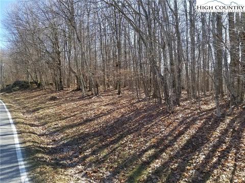 237 Upper Grouse Ridge Rd, Beech Mountain, NC 28604 photo 4