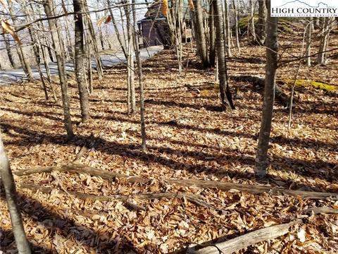 237 Upper Grouse Ridge Rd, Beech Mountain, NC 28604 photo 9