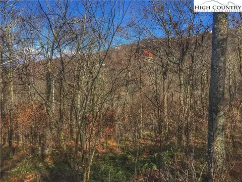 tbd Spruce Hollow Rd, Beech Mountain, NC 28604 photo 5