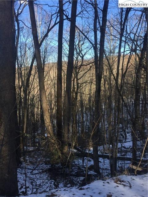 118 Red Fox Ln, Beech Mountain, NC 28604 photo 3