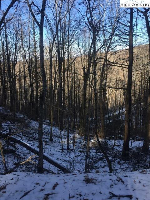 118 Red Fox Ln, Beech Mountain, NC 28604 photo 4