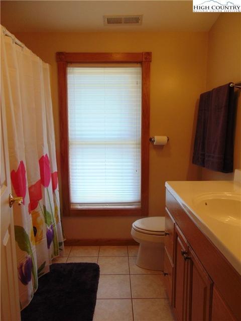 784 Drive Way, Sparta, NC 28675 photo 39