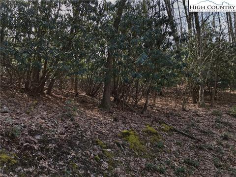 266 Poplar Dr, Beech Mountain, NC 28604 photo 2