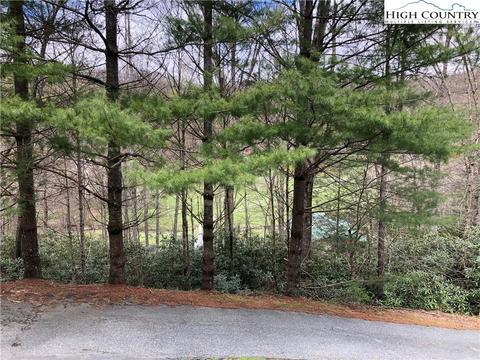 275 Locust Ln, Boone, NC 28607 photo 45