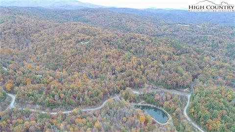 1303 Bobcat Mountain Rd, Purlear, NC 28665 photo 36