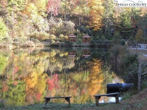 1303 Bobcat Mountain Rd, Purlear, NC 28665 photo 39
