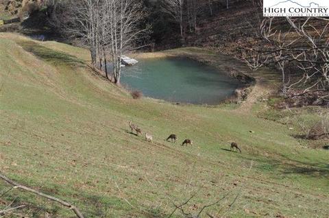 461 Laurel Branch Rd, Vilas, NC 28692 photo 11