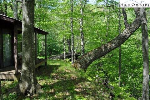 461 Laurel Branch Rd, Vilas, NC 28692 photo 3
