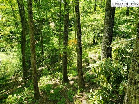 111 Galax Loop, Linville, NC 28646 photo 17