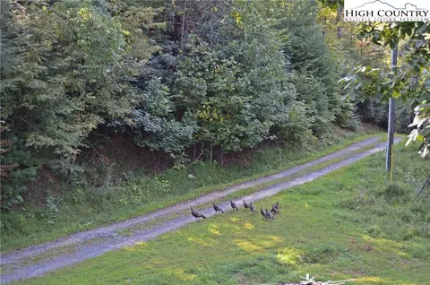 323 Wes Randall Rd, Deep Gap, NC 28618 photo 26