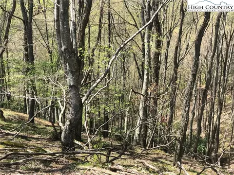 746 Bear Wallow Rd, Lansing, NC 28643 photo 22