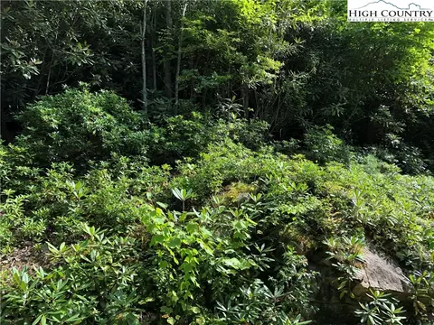 278 Poplar Dr, Beech Mountain, NC 28604 photo 3