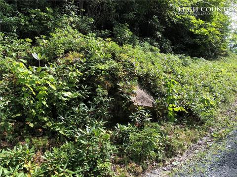 278 Poplar Dr, Beech Mountain, NC 28604 photo 4