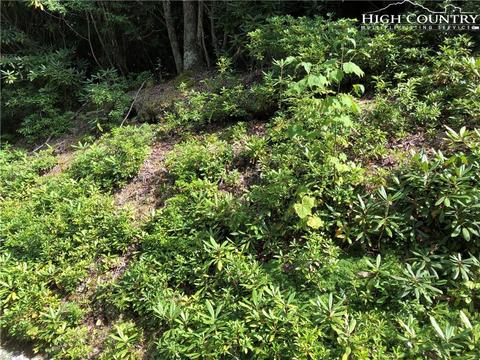 278 Poplar Dr, Beech Mountain, NC 28604 photo 2