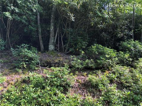 278 Poplar Dr, Beech Mountain, NC 28604 photo 1