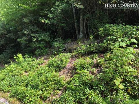 278 Poplar Dr, Beech Mountain, NC 28604 photo 5