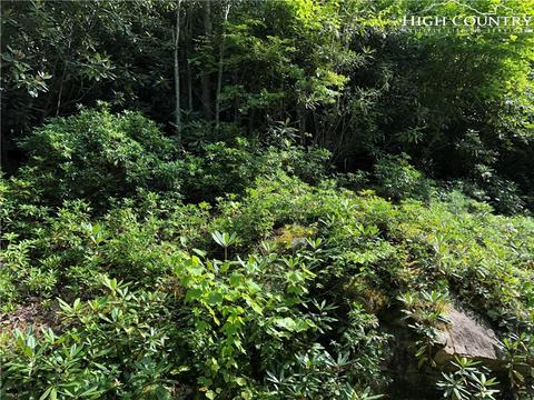 278 Poplar Dr, Beech Mountain, NC 28604 photo 3