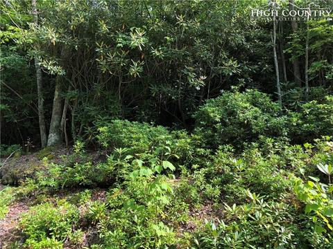 278 Poplar Dr, Beech Mountain, NC 28604 photo 6