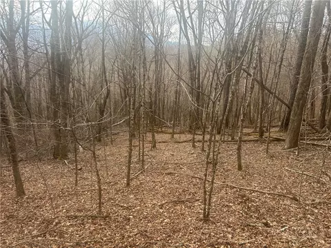 lot39 Rainbow Ridge Rd, Zionville, NC 28698