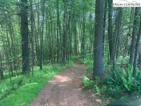 175 Cedarbrook Ln, Sparta, NC 28675 photo 6
