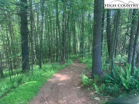 175 Cedarbrook Ln, Sparta, NC 28675 photo 6