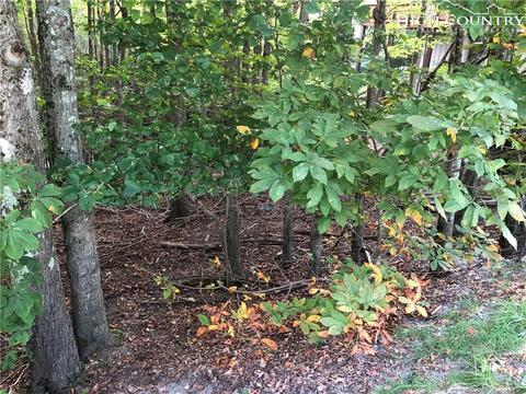 210 Grassy Gap Loop Rd, Beech Mountain, NC 28604 photo 6