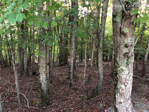 210 Grassy Gap Loop Rd, Beech Mountain, NC 28604 photo 1