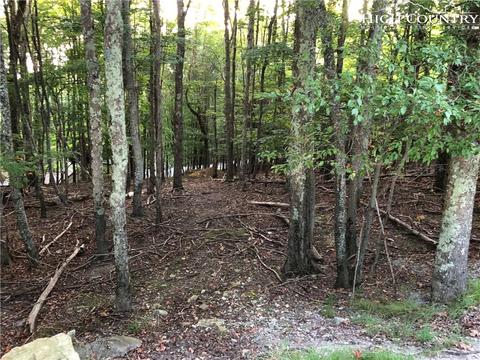 210 Grassy Gap Loop Rd, Beech Mountain, NC 28604 photo 3
