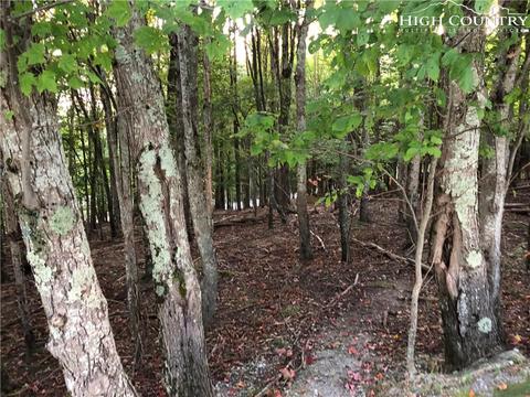 210 Grassy Gap Loop Rd, Beech Mountain, NC 28604 photo 2