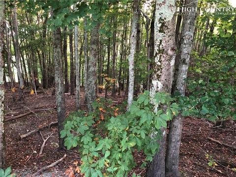 210 Grassy Gap Loop Rd, Beech Mountain, NC 28604 photo 5