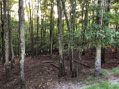 210 Grassy Gap Loop Rd, Beech Mountain, NC 28604 photo 4