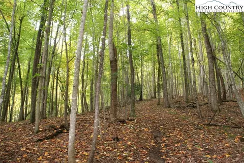 tbd Sampson Rd, Ferguson, NC 28624 photo 1