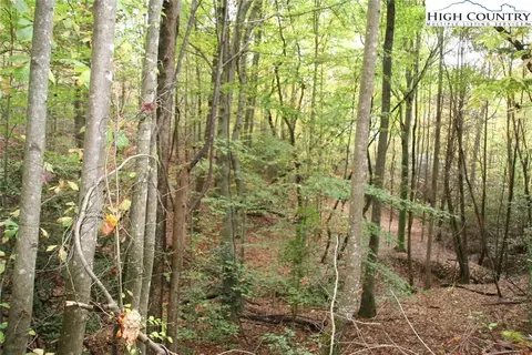 tbd Sampson Rd, Ferguson, NC 28624 photo 3