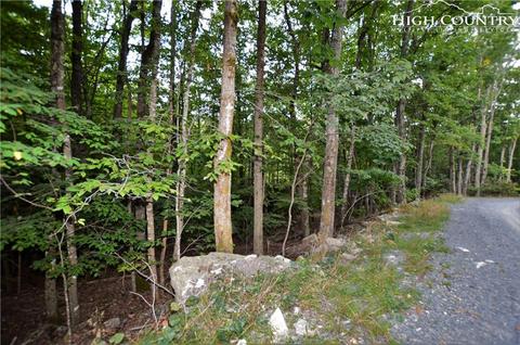 205 Poplar Dr, Beech Mountain, NC 28604 photo 6
