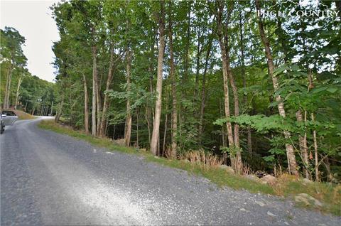 205 Poplar Dr, Beech Mountain, NC 28604 photo 4