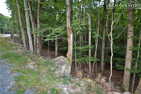 205 Poplar Dr, Beech Mountain, NC 28604 photo 3