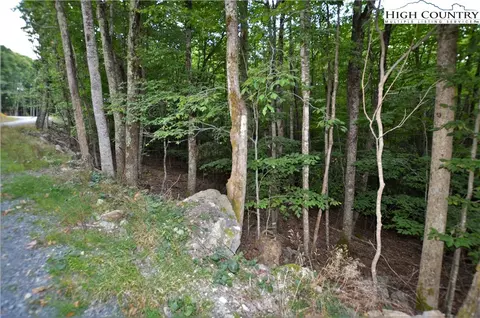205 Poplar Dr, Beech Mountain, NC 28604 photo 3