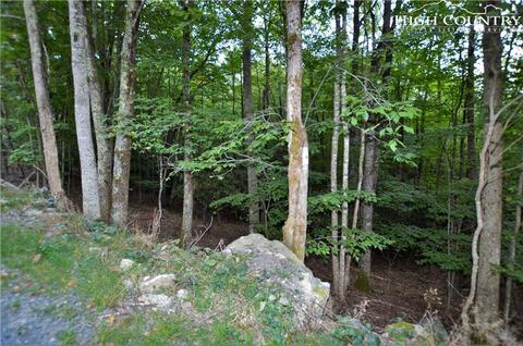 205 Poplar Dr, Beech Mountain, NC 28604 photo 5