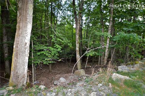 205 Poplar Dr, Beech Mountain, NC 28604 photo 7