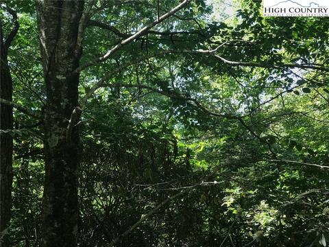 tbd Benjamin Dr, Boone, NC 28607