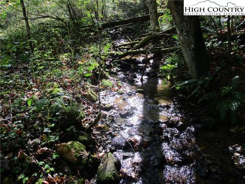 3 River Breeze Drive, Creston, NC 28615 photo 1