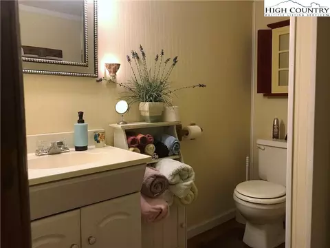 707 Phillips Gap Rd, Purlear, NC 28665 photo 19