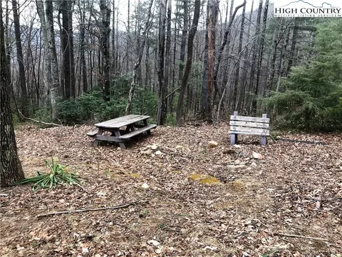 707 Phillips Gap Rd, Purlear, NC 28665 photo 5