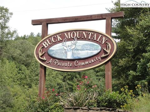 1074 Pepper Bush Rd, Purlear, NC 28665 photo 40